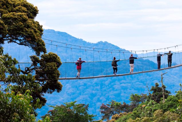 Itinerary of Tourist Activities in Nyungwe National Park