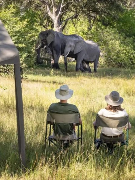 WhatsApp Image 2025-11-03 at 12.40.41