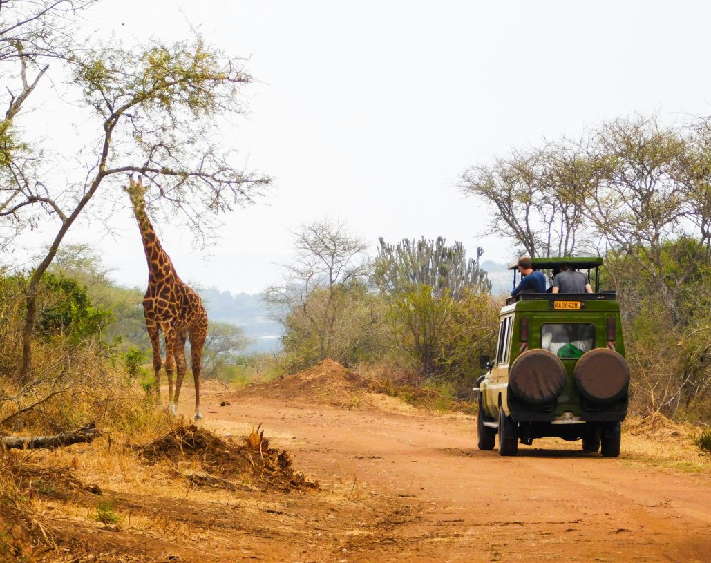 emmy-shingiro-bfPerAo-hNc-unsplash