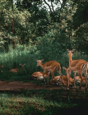 one-zone-studio-Ymvodp-2JuE-unsplash